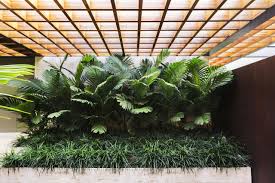 Jardim Uca Tropical Landscaping Tropical Garden Tropical Garden Design