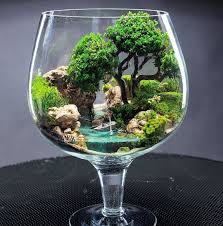 The Superb Layout Terrarium In Glass Terrarium Terrarium Decor Plant In Glass