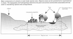 Riparian Areas Environmental Uniqueness Functions And Values Nrcs