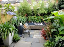 Transform Your Yard Into A Garden Oasis Small Courtyard Gardens Small Backyard Gardens Urban Backyard