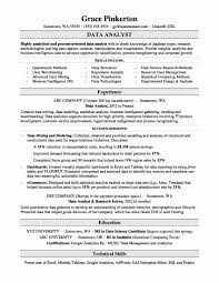 Pin On Resume Samples Ideas Printable