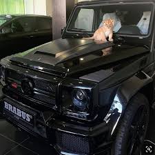 Pin By Barbara Turu On Aslanlar In 2020 Dream Cars Lux Cars My Dream Car