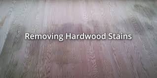 That includes uric acid, which contains crystals that cause the familiar pet removing those crystals from the wood can be very difficult. How To Remove Smells And Stains From Hardwood Floors