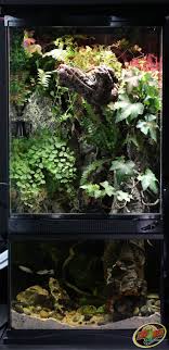 12 X12 X24 Paludarium Aquatic And Terrestrial Habitat For Reptiles Fish And Invertebrates That Can Hold 4 Ga Fish Plants Terrarium Tank Beautiful Terrariums