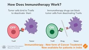 Immunotherapy In India How It Works Pros And Cons Positive Bioscience