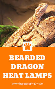 Best Basking Light For Bearded Dragons Complete Guide Bearded Dragon Heat Lamp Reptile Heat Lamp Bearded Dragon