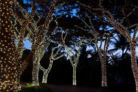 How To Turn Your Garden In To An Enchanting Party Venue Outdoor Fairy Lights Fairy Lights Garden Outdoor Tree Lighting