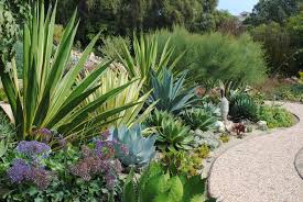 Pin On Gardens