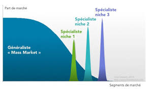Toutefois, des progrès récents ont permis d'améliorer sensiblement son appréhension. Marche De Niche Definition Exemple De Marche De Niche