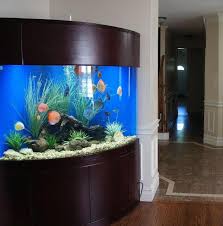 Beautiful Tanks Aquarium Aquariums For Sale Large Fish Tanks