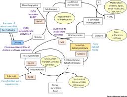 Using Metabolomics To Investigate Biomarkers Of Drug Addiction Trends In Molecular Medicine