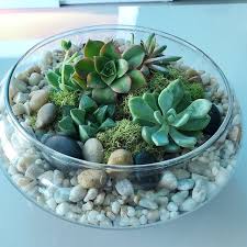 Glass Terrarium Bowl With Succulents Kit To Make Terrarium Diy Kit To Make Your Own Terrarium Succulents Terrarium Living Gift In 2020 Glass Bowl Terrarium Terrarium Bowls Glass Bowl Decor