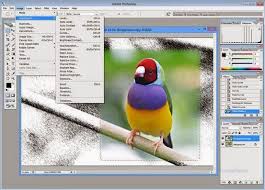 Adobe Photoshop Cs2 Key Download Adobe Photoshop Cs2 Freeware Adobe Has Released This Legacy Version Of The Ever Popular Photoshop As Freeware