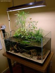 15 Gallon Riparium