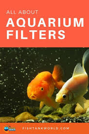 Best Aquarium Filters 2020 Top Picks Reviews Guide Fish Tank World Best Aquarium Filter Aquarium Filter Diy Aquarium Filter