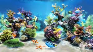 Sim Aquarium Virtual Aquarium Screensaver And Live Wallpaper Aquarium Live Wallpaper Tank Wallpaper Live Wallpaper For Pc