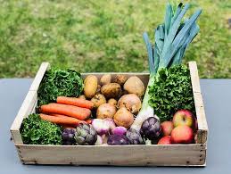 Livraison A Domicile Labarthe Leze Paniers Fruits Et Legumes Locaux Panier Fruits Et Legumes Fruits Et Legumes Bio Fruits Et Legumes