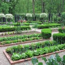 Complete Vegetable Garden Tata Letak Taman Desain Taman Sayur Berkebun Di Kota
