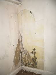 How To Remove Wallpaper Paste Removable Wallpaper Diy Wallpaper Wallpaper Paste