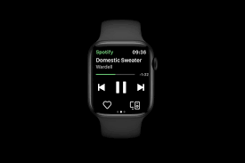 How To Stream Spotify On Apple Watch
