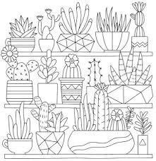 13 Best Succulent Cactus Coloring Books Pages Pattern Coloring Pages Coloring Books Coloring Pages