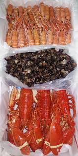 Emballage Fruits De Mer A Domicile