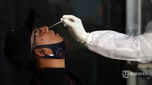 Perbedaan Rapid Test Antigen Rapid Test Antibodi Dan Test Pcr Swab Tribunnews Com Mobile
