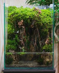 Cool Paludarium Credit Fish Tank Terrarium Aquascape Aquarium Landscape