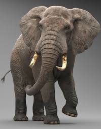 3d Model Elephant Elephant Animals 3d Model
