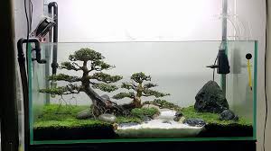 Pin On Micro Aquatic Shop Australia