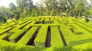 Sedangkan untuk wahana lainnya, seperti outbound, paint ball, sepeda gunung, playground, persewaan segewey. Lokasi Dan Harga Tiket Masuk Taman Labirin Coban Rondo Malang Serunya Bermain Petak Umpet Di Tengah Tumbuhan Hijau Daka Tour