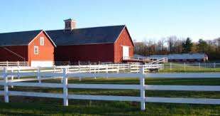 Love The Farm Always Have Makes Me Feel At Home Most Of The Time Usa House Beautiful Farm Tree Farms