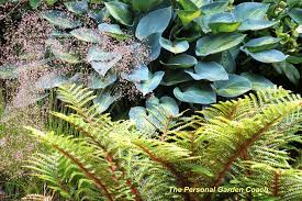 Garden Designer S Roundtable Ideas For Adding Texture To Your Landscape Architectural Plants Colorful Garden Garden