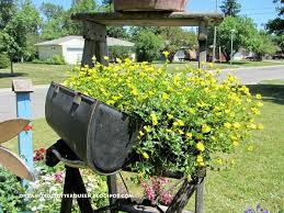 Metamorphosis Of Four Container Plantings From Early June To Early July Photo Added Of Entire Step Ladder Container Plants Garden Junk Primitive Outdoor Decorating