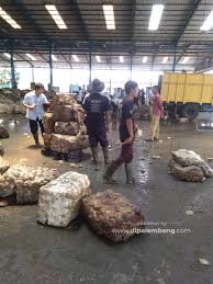 Dapatkan lowongan baru via email. Pt Hoktong Plaju Palembang