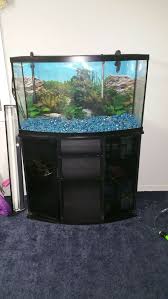 Bow Front Fish Tank With Stand Fish Tank Stand Fish Tank Aquarium Stand