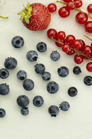 Muffins Bleuets Son Josee Di Stasio