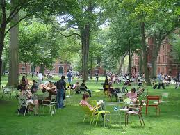 Harvard Common Spaces Love All The Different Chair Types Harvard Yard Landscape Landscape Projects