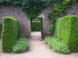 Are You Loving Publishing Today Welcome To The Beautiful Garden Of Virtual De Garden Wall Beautiful Gardens Secret Garden