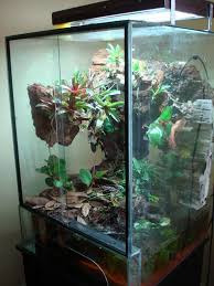 90 Gallon Eroded Streamside Paludarium Terrarium For Sale Orchid Terrarium Reptile Room