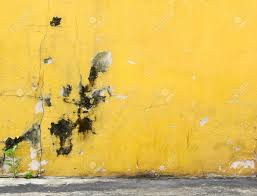 Age Street Yellow Wall Background Stock Photo Picture And Royalty Free Image Image 84960491 Download yellow wall background images and photos. age street yellow wall background