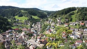 Edward lauterbach palmyra chiropractor | lauterbach chiropractic acupuncture massage dr. Lauterbach In The Black Forest