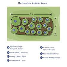 Buy Hummingbird Designer Garden Shade Perennials Breck S Garden Design Flower Spike Hummingbird Painting Acrylic