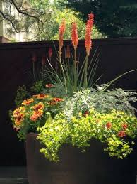 Exquisite Container Garden From Madeline George Garden Design Nursery Boise Garden Containers Container Gardening Plants