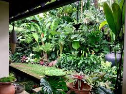 Irene Ngoo S Garden In Singapore Tropical Landscaping Small Tropical Gardens Tropical Landscape Design