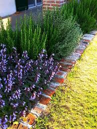 Italian Herb Border Landscaping Plants Plants Herb Garden