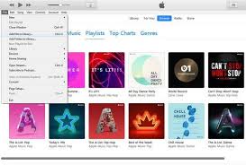 Add Spotify Playlists To Itunes Or Apple Music Playlist Spotify Music Playlist
