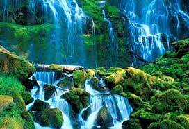12 Desktop Background Hd Nature Wallpaper Full Screen Hd Nature Wallpapers For Pc Full Screen Nature Desktop Wallpaper Hd Nature Wallpapers Nature Wallpaper