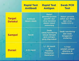 Batasan Tarif Pemeriksaan Rapid Test Antigen Swab Republika Online