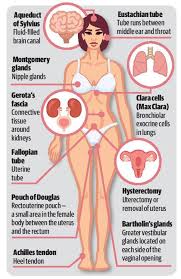 Select from premium women body parts name of the highest quality. Doctors Fight For New Names For Body Parts Cq News